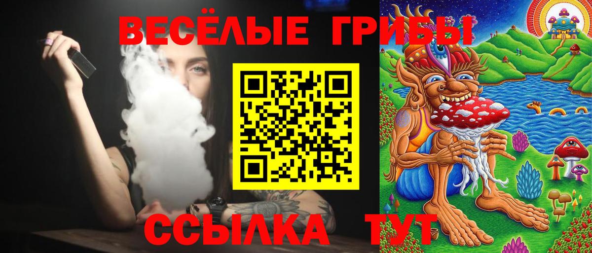 Галлюциногенные грибы мухоморы  Вход с VPN  Уссурийск 